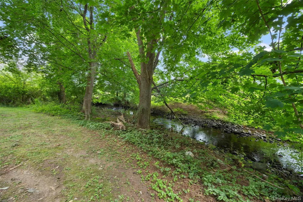 36 Market Lane Clinton Corners, NY 12514