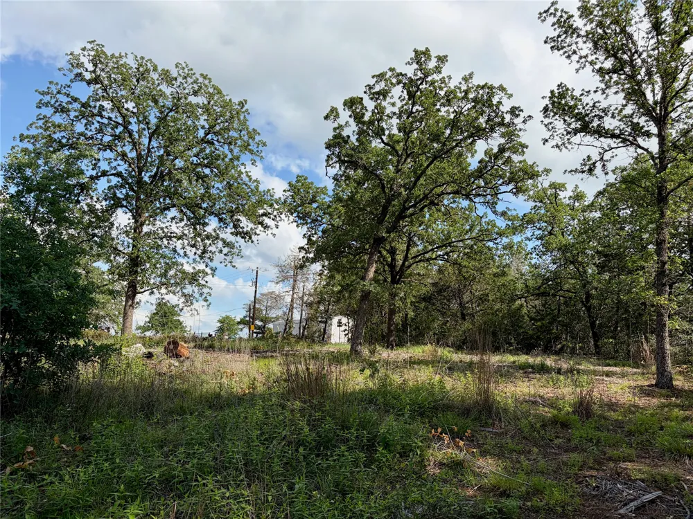 97 Shawnee Drive Smithville, TX 78957