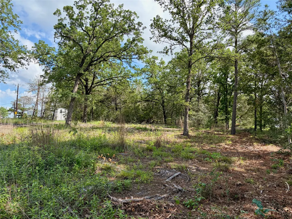 97 Shawnee Drive Smithville, TX 78957