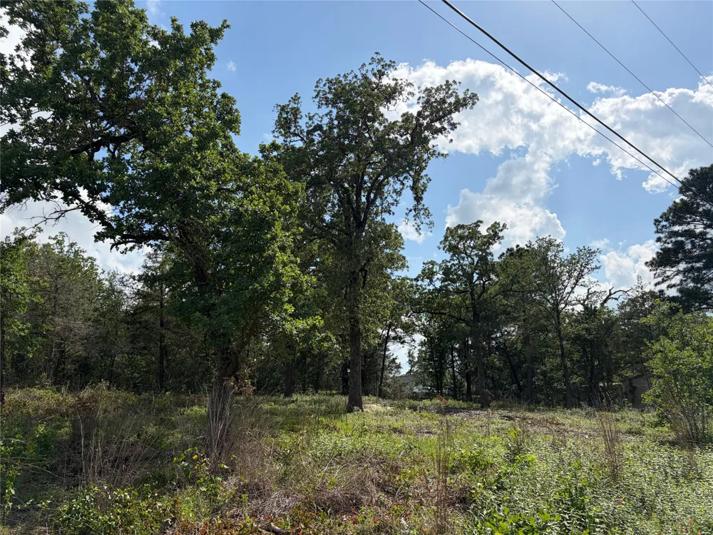 97 Shawnee Drive Smithville, TX 78957