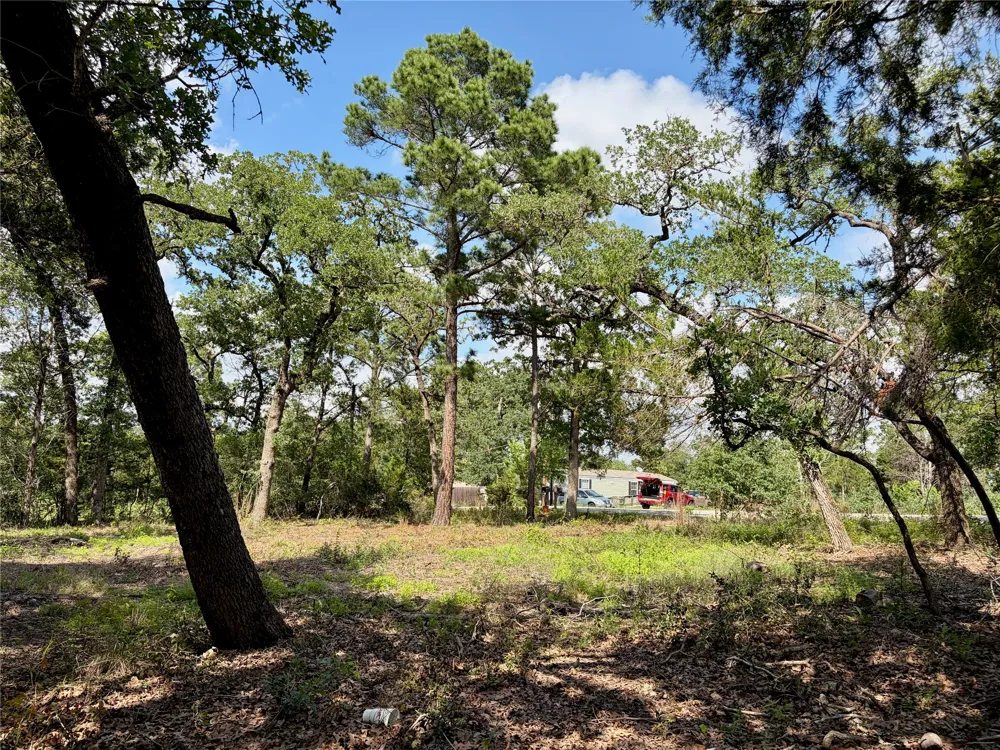 95 Shawnee Drive Smithville, TX 78957
