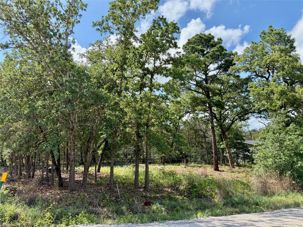 95 Shawnee Drive Smithville, TX 78957