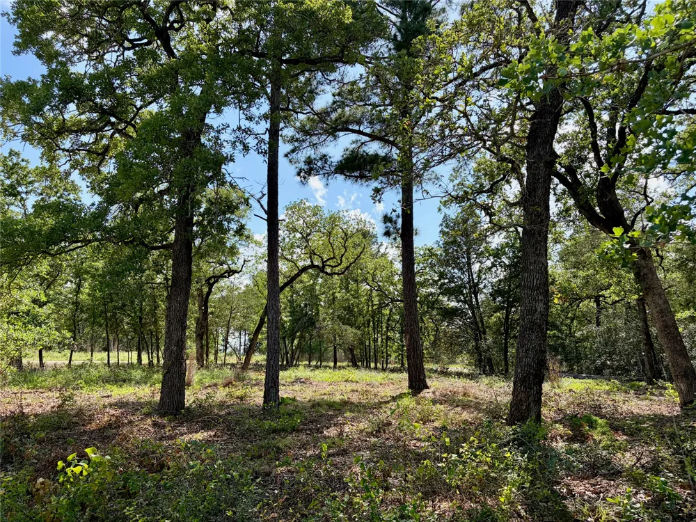 95 Shawnee Drive Smithville, TX 78957