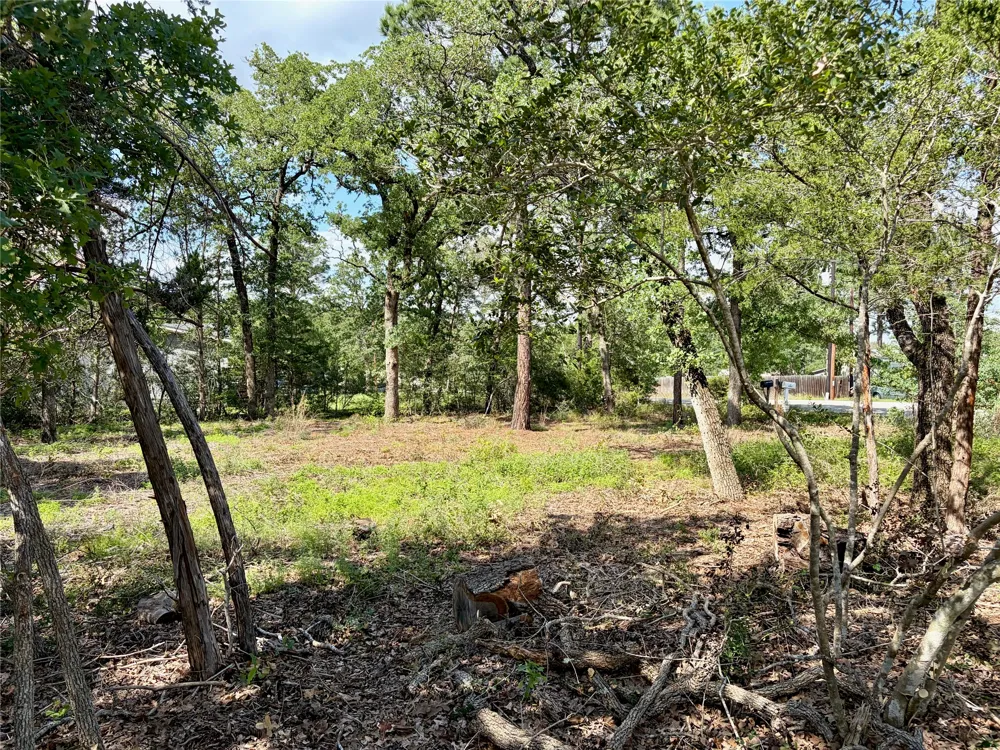 95 Shawnee Drive Smithville, TX 78957