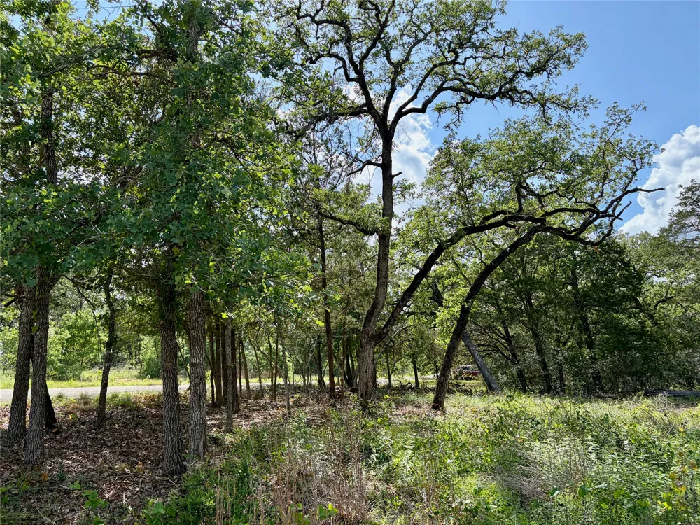 95 Shawnee Drive Smithville, TX 78957