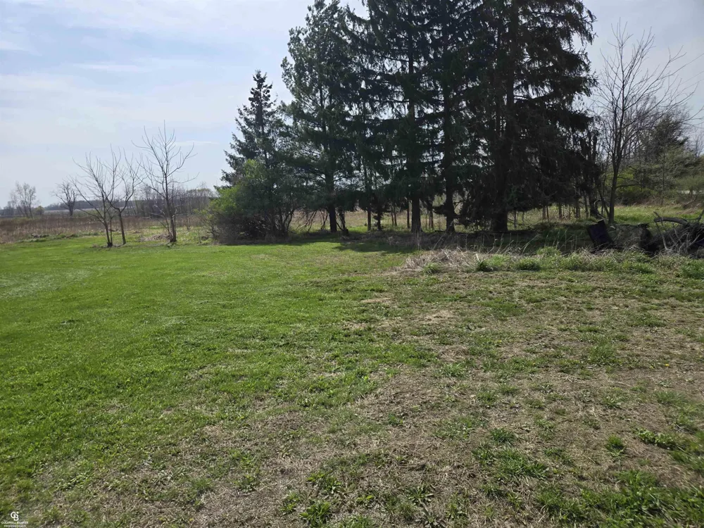 16433 Dudley Road Lynn Township, MI 48416