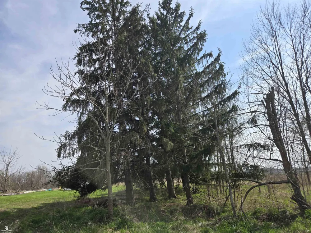 16433 Dudley Road Lynn Township, MI 48416