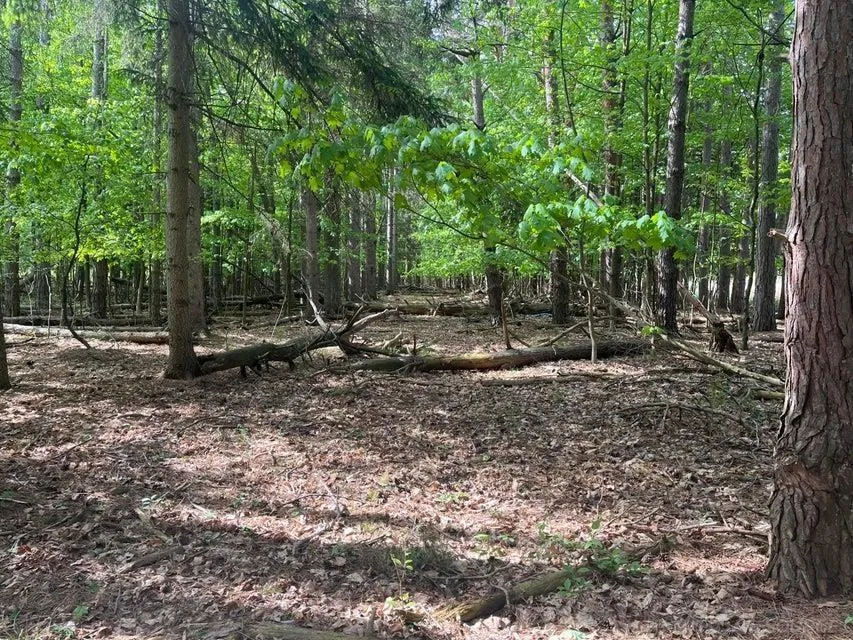 Mortimer Line Road Worth Township, MI 48422