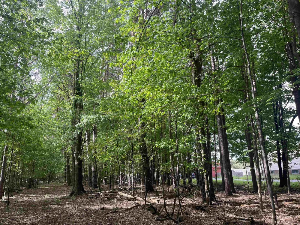 Mortimer Line Road Worth Township, MI 48422