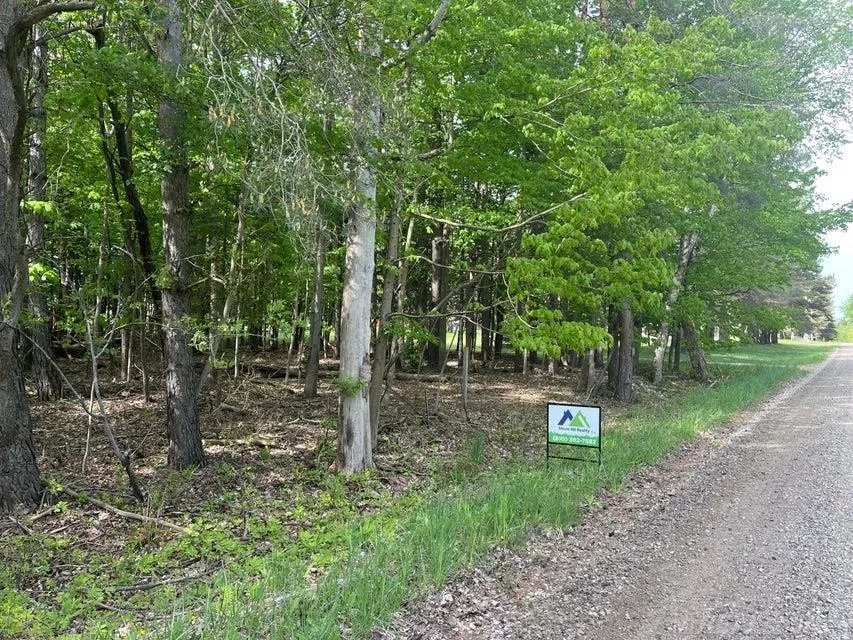 Mortimer Line Road Worth Township, MI 48422