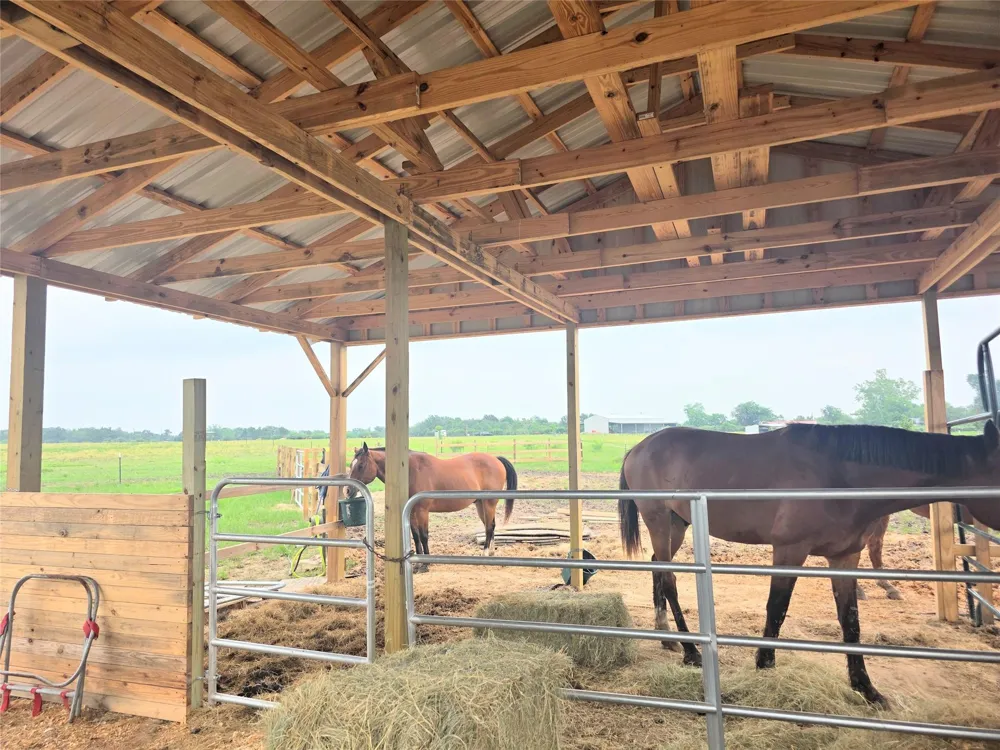 816 Raccoon Bend Road Bellville, TX 77418