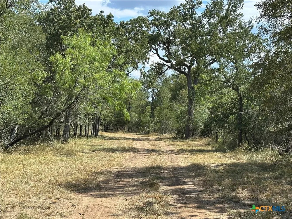650 Coastal Lane Luling, TX 78648