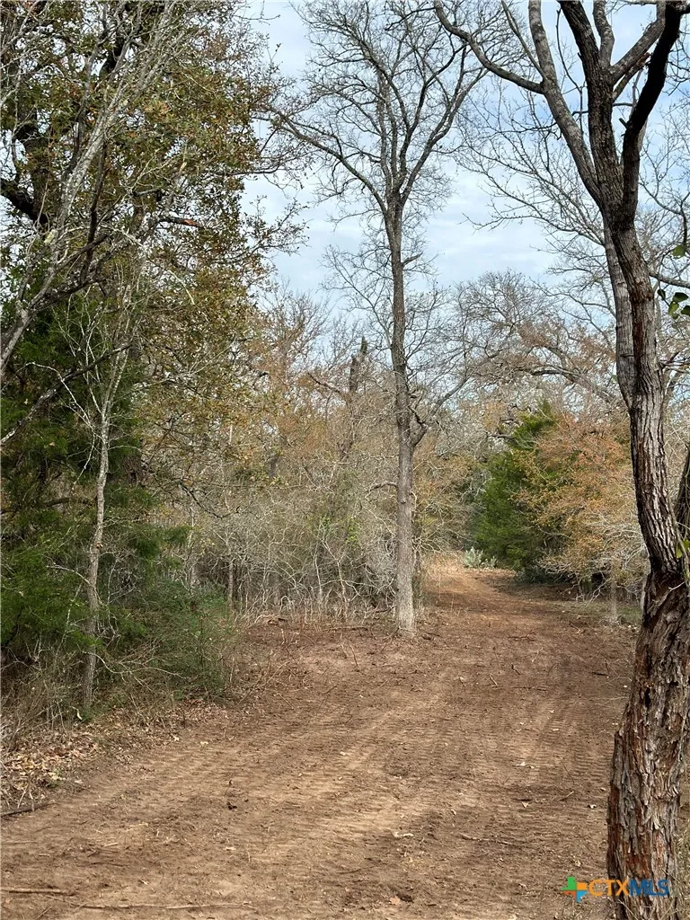 650 Coastal Lane Luling, TX 78648