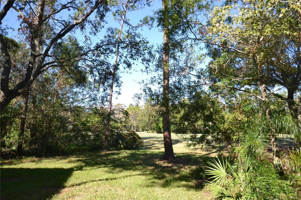 112 LINDSAY LANE Oldsmar, FL 34677