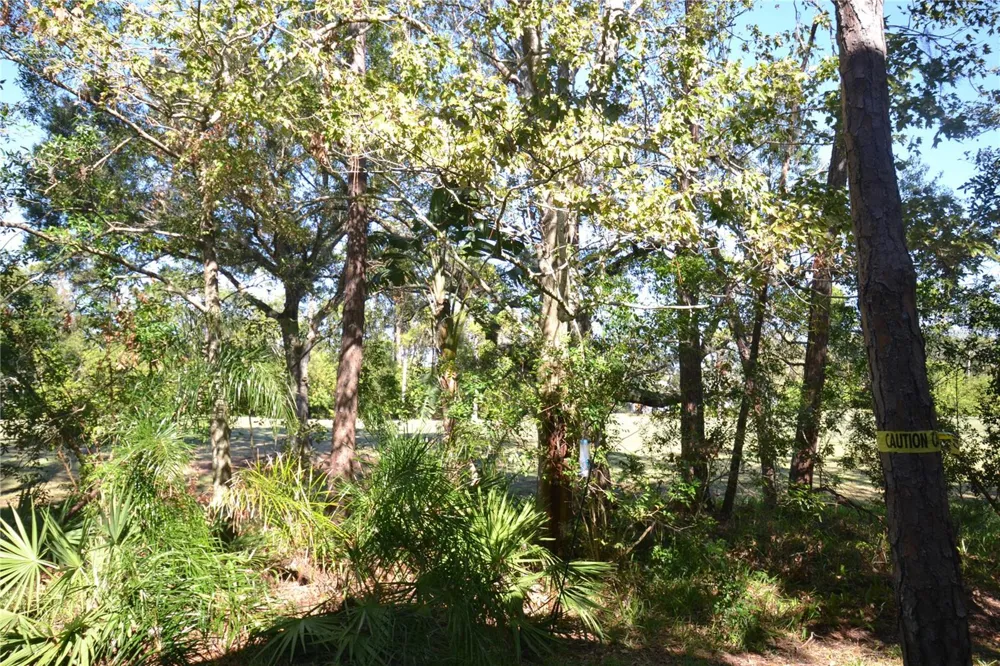 112 LINDSAY LANE Oldsmar, FL 34677