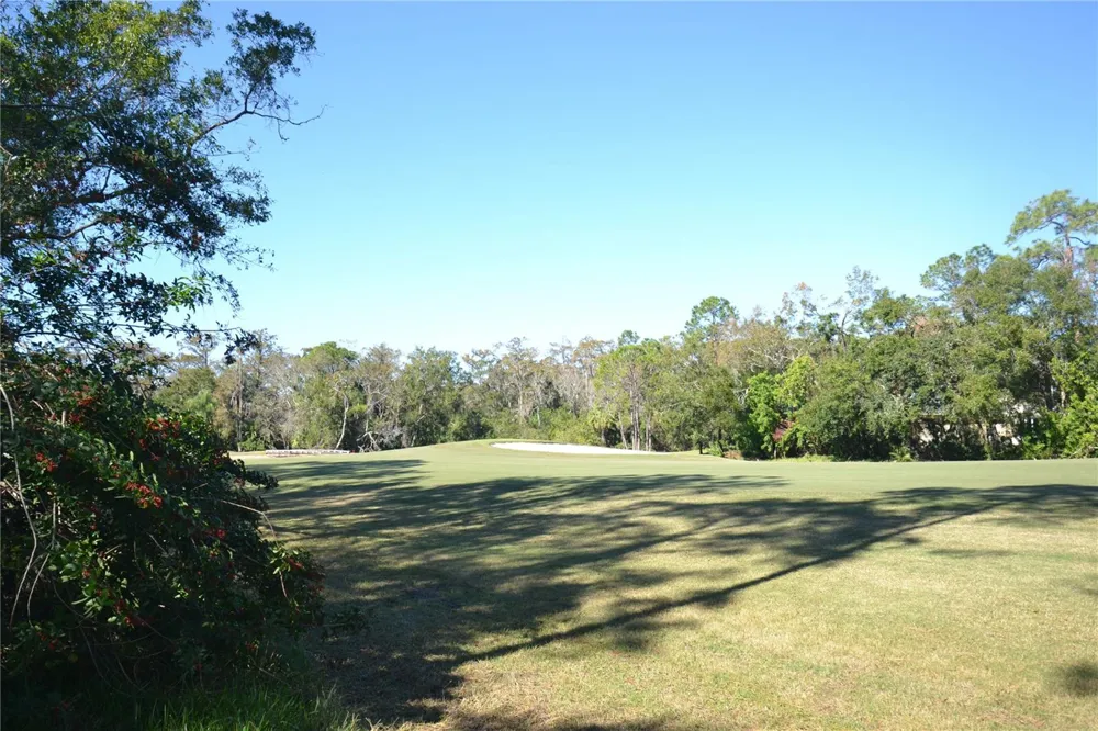 112 LINDSAY LANE Oldsmar, FL 34677