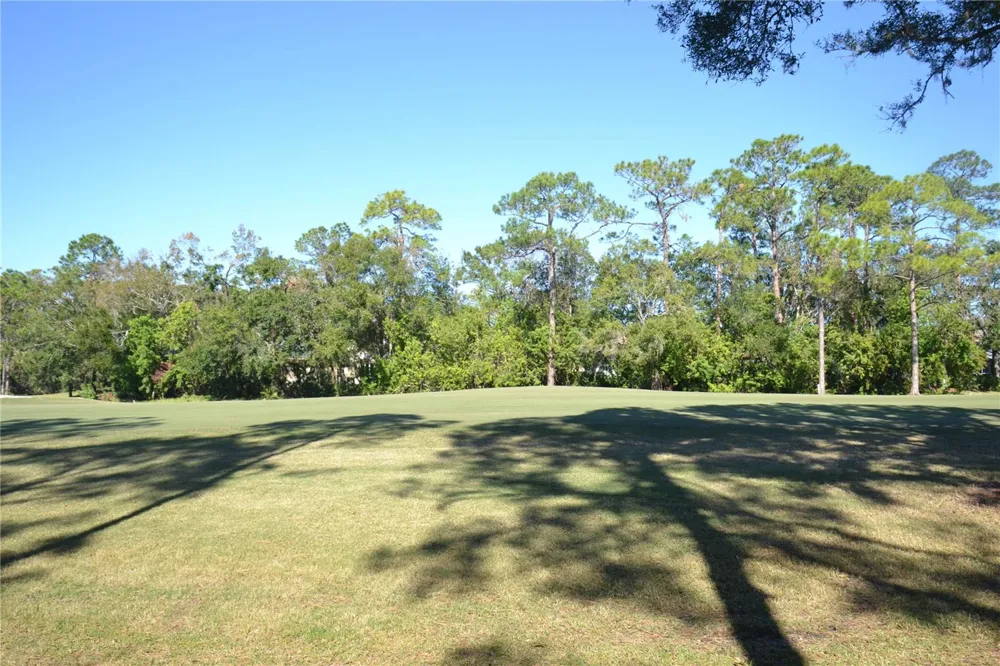 112 LINDSAY LANE Oldsmar, FL 34677