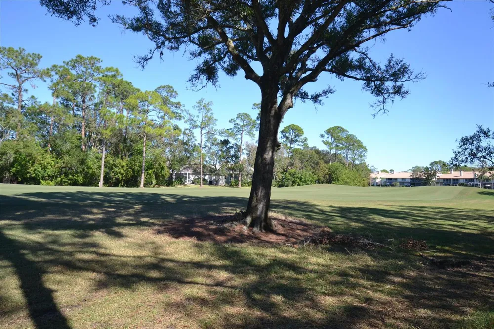 112 LINDSAY LANE Oldsmar, FL 34677
