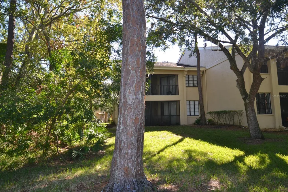 112 LINDSAY LANE Oldsmar, FL 34677
