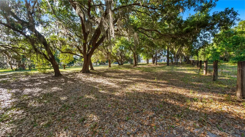 LEGACY WOODS Groveland, FL 34736