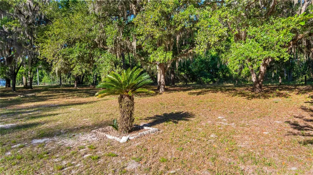 LEGACY WOODS Groveland, FL 34736