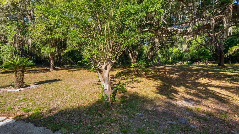 LEGACY WOODS Groveland, FL 34736