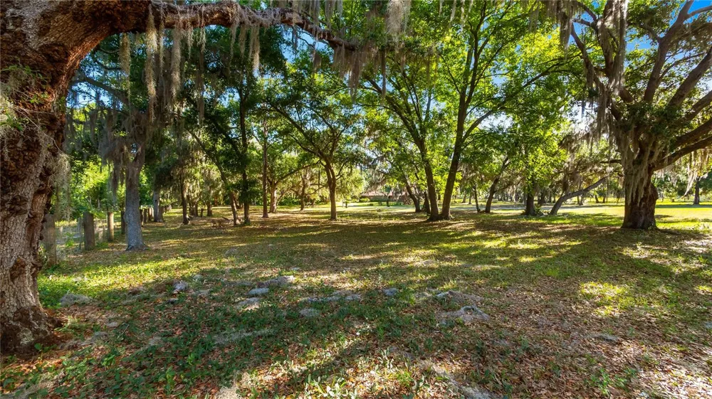 LEGACY WOODS Groveland, FL 34736