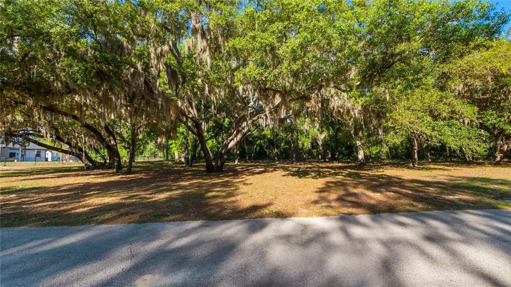 LEGACY WOODS Groveland, FL 34736