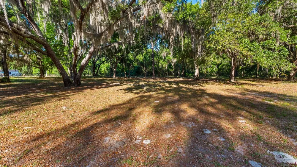 LEGACY WOODS Groveland, FL 34736