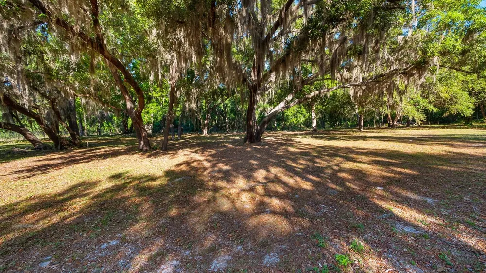 LEGACY WOODS Groveland, FL 34736