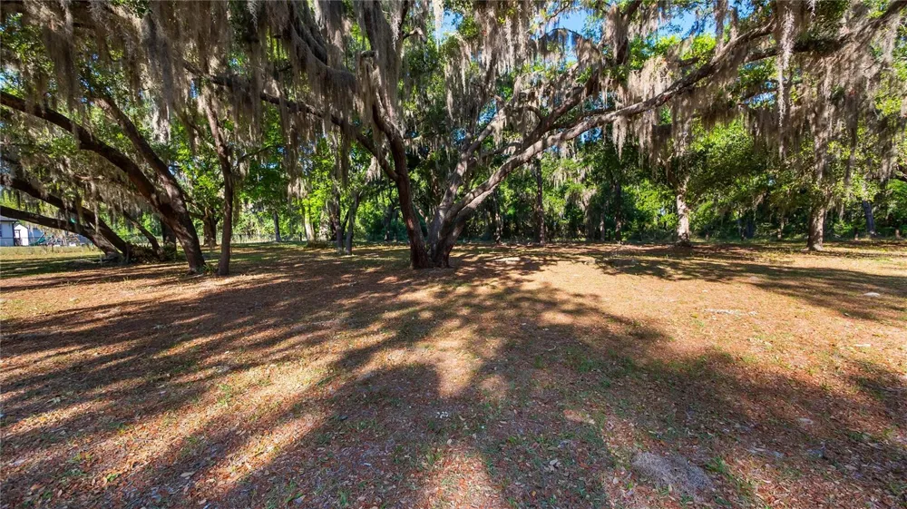 LEGACY WOODS Groveland, FL 34736