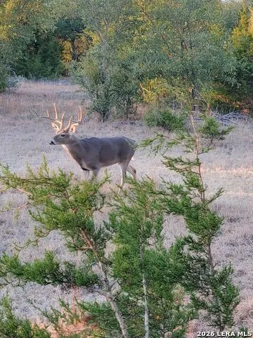 870 Rocky Top Road Soutwest Hunt, TX 78024