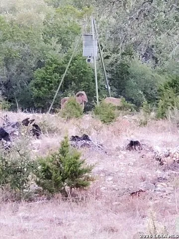 870 Rocky Top Road Soutwest Hunt, TX 78024