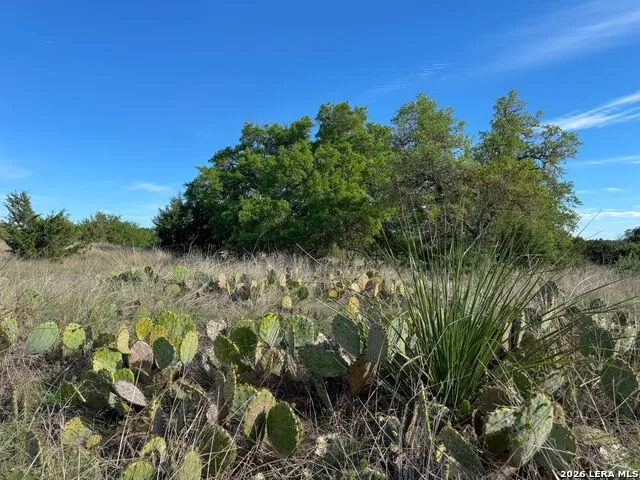 870 Rocky Top Road Soutwest Hunt, TX 78024