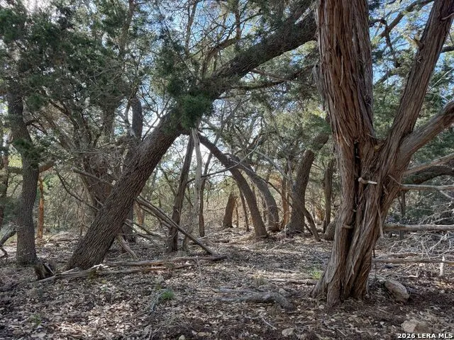 870 Rocky Top Road Soutwest Hunt, TX 78024