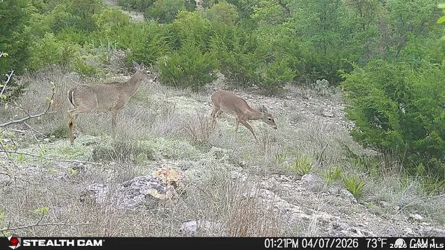 870 Rocky Top Road Soutwest Hunt, TX 78024