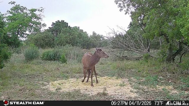 870 Rocky Top Road Soutwest Hunt, TX 78024