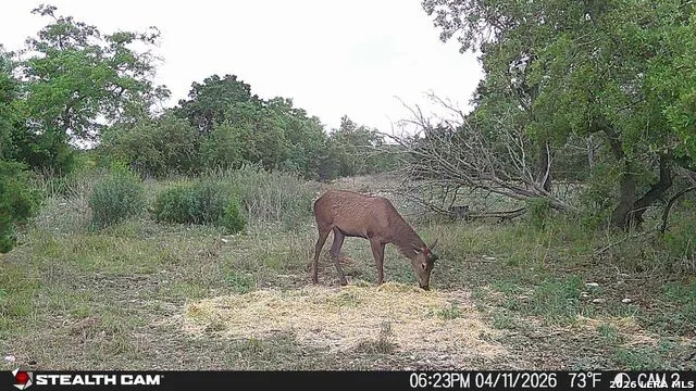 870 Rocky Top Road Soutwest Hunt, TX 78024