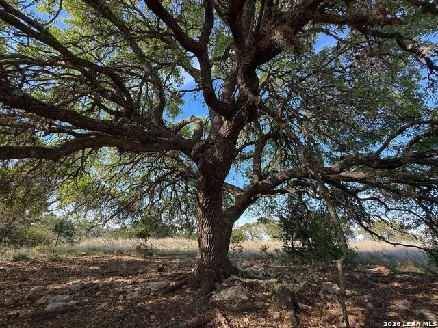 870 Rocky Top Road Soutwest Hunt, TX 78024