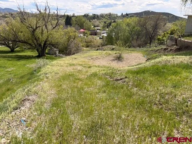 33 Box Elder Drive Paonia, CO 81428