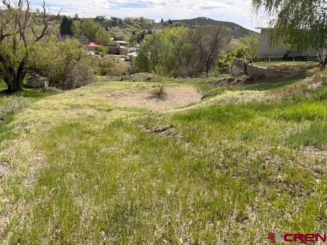 33 Box Elder Drive Paonia, CO 81428