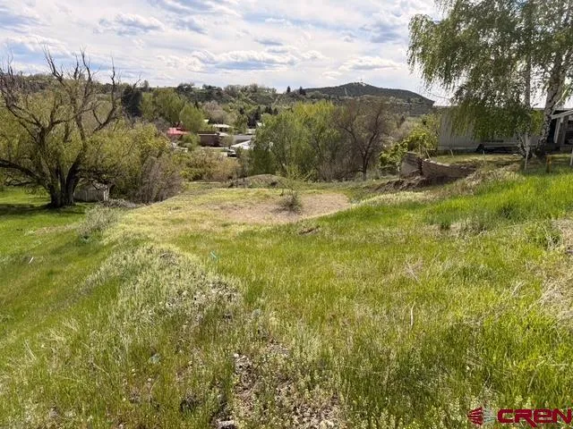 33 Box Elder Drive Paonia, CO 81428