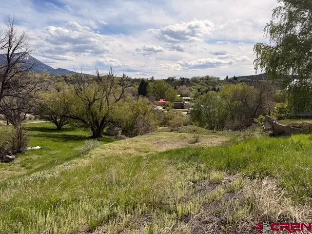 33 Box Elder Drive Paonia, CO 81428