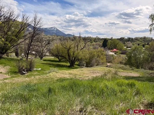 33 Box Elder Drive Paonia, CO 81428