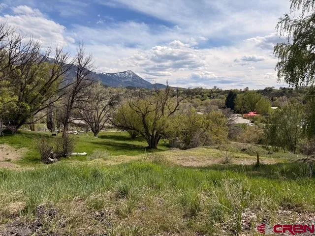 33 Box Elder Drive Paonia, CO 81428