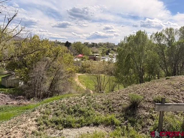33 Box Elder Drive Paonia, CO 81428