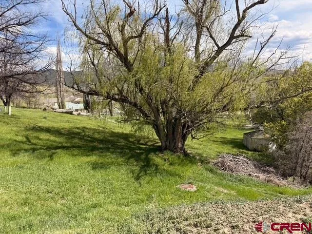 33 Box Elder Drive Paonia, CO 81428
