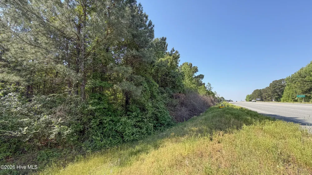 1300 Nc-11 Magnolia, NC 28453