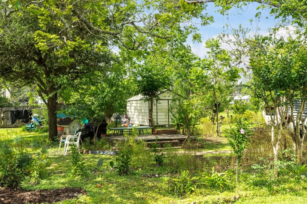 233 Hamilton Street West Columbia, TX 77486