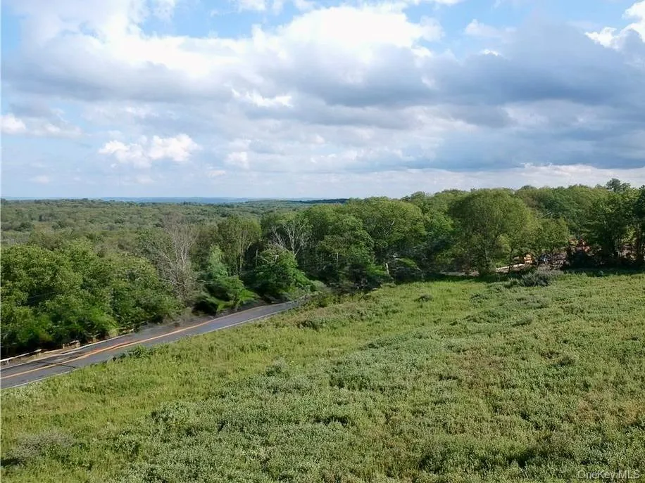 Lot #4 Mountain Road Port Jervis, NY 12771